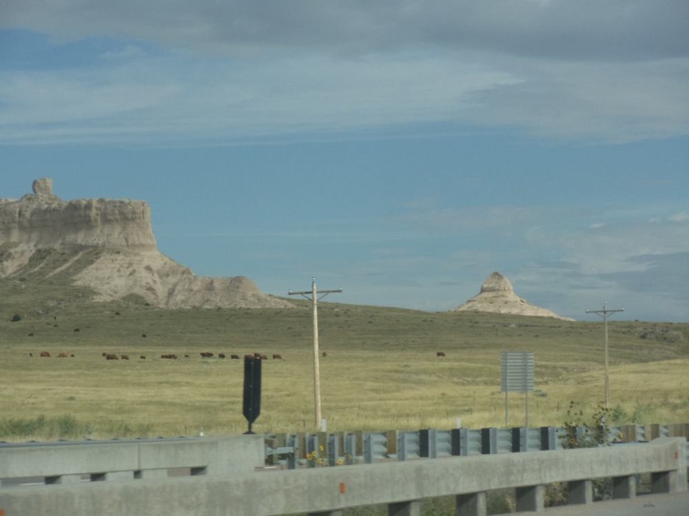 12005689_10100728385626553_1131880288_o