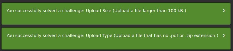 You successfully solved a challenge: Upload Size (Upload a file larger than 100 kB.) 
x 
You successfully solved a challenge: Upload Upe (Upload a file that has no .pdf or .zip extension.) X 